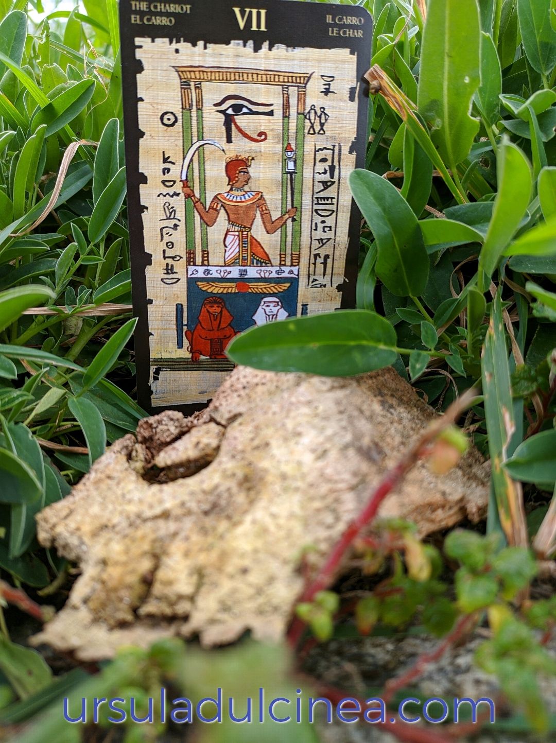 ursula-dulcinea-tarot-egipcio-el-carro