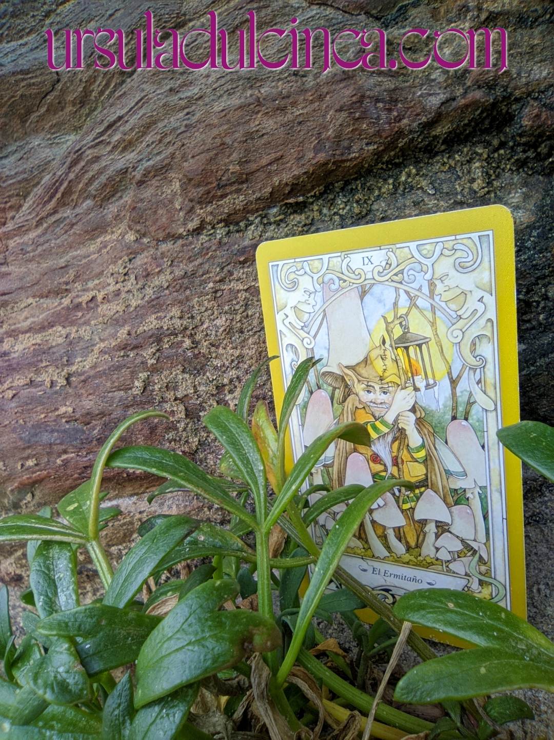 ursula-dulcinea-tarot-hadas-y-duendes-el-ermitaño