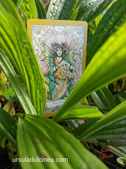 ursula-dulcinea-tarot-hadas-y-duendes-la-fuerza
