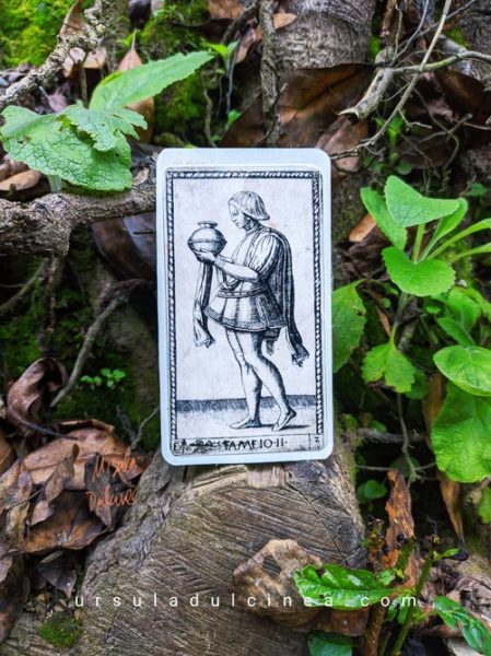 carta fameio tarot de mantegna en el bosque