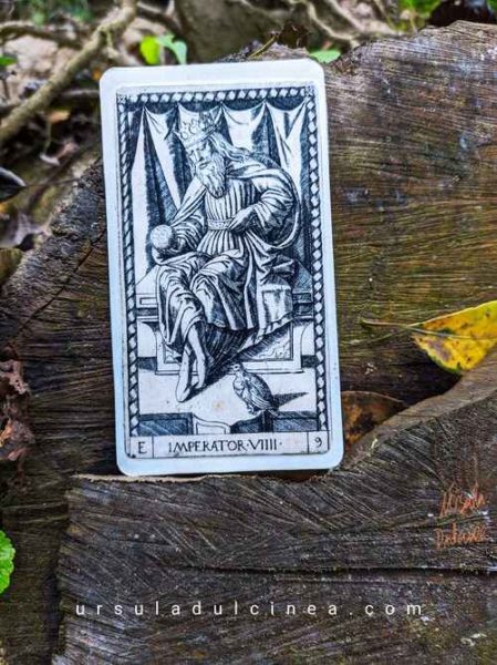 carta imperator tarot de mantegna en el bosque