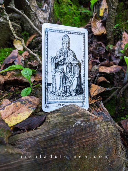 carta papa tarot de mantegna en el bosque