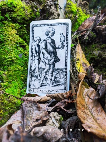 carta zintilomo tarot de mantegna