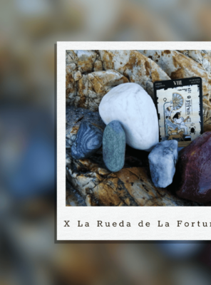 18 al 24 de Agosto La Rueda de laFortuna