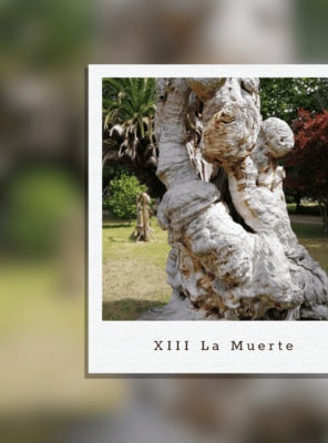 11 al 17 Agosto: La muerte