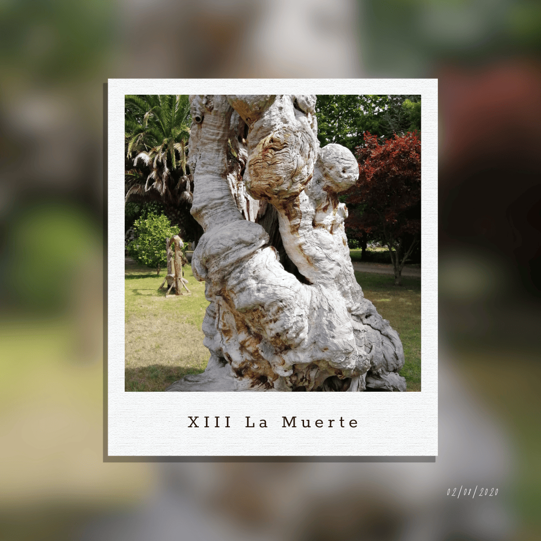 11 al 17 Agosto: La muerte