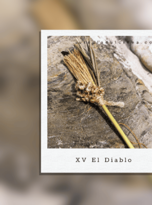 25 al 30 Agosto: el Diablo sagacidad