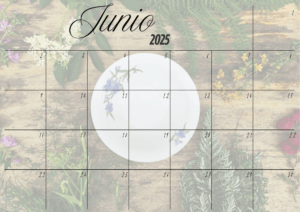 Planner Junio