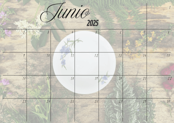 Planner Junio