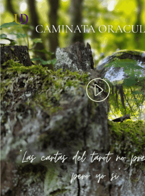 Las cartas del tarot no predicen… pero yo si