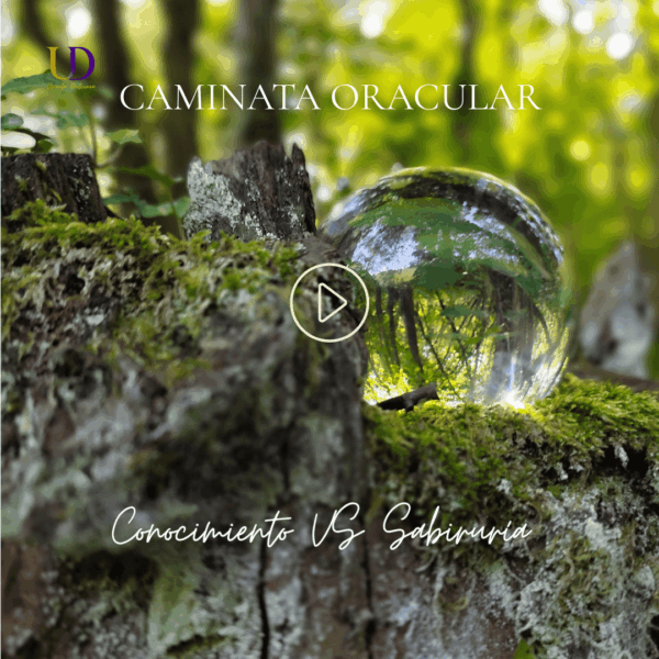Imagen representativa de las Caminatas Oraculares con fondo natural