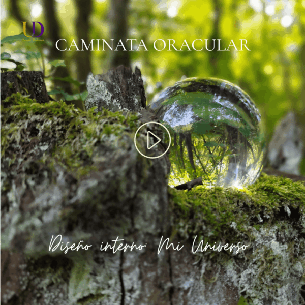 Imagen representativa de las Caminatas Oraculares con fondo natural