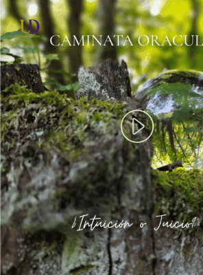 Intuición o Juicio?