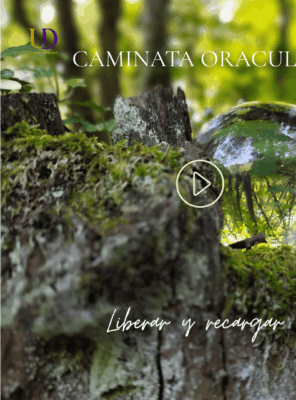 Liberar y Recargar