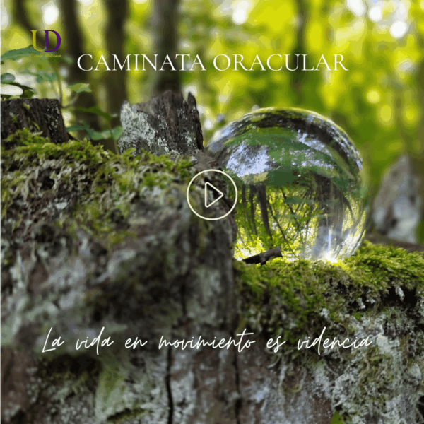 Imagen representativa de las Caminatas Oraculares con fondo natural