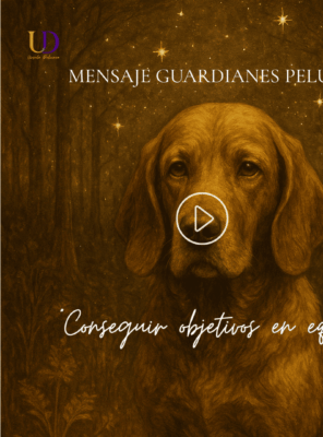 11 al 17 Agosto «cumpliendo objetivos en equipo»