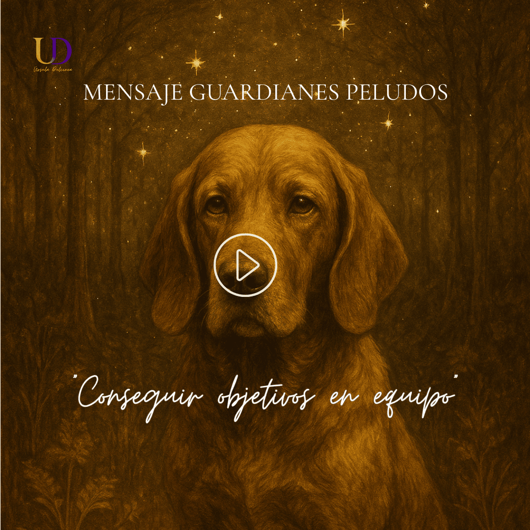 11 al 17 Agosto «cumpliendo objetivos en equipo»