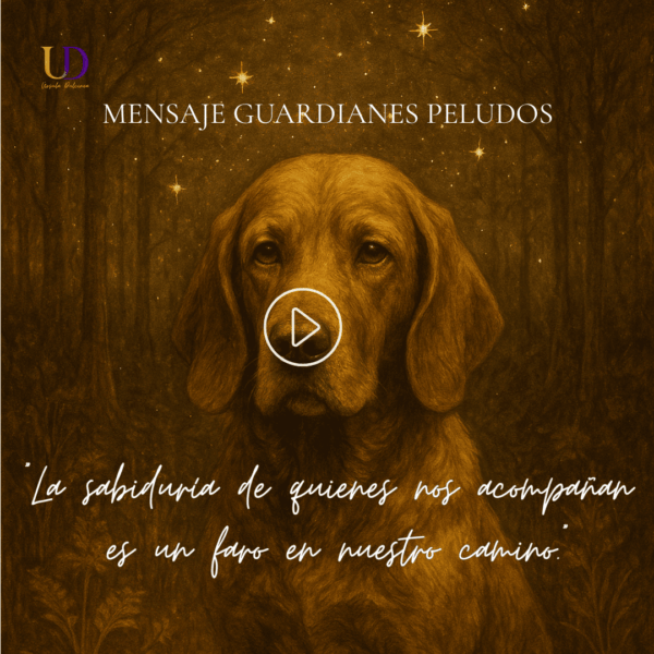 imagen representativa del mensaje de guardianes peludos con un perro
