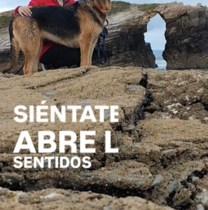 Clave vibracional 25 al 31 Mayo
